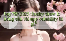 bay789 2025 lucky draw không cần tải app volatility là gì