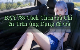 bay789  cách chọn gà chiến trên ứng dụng đá gà