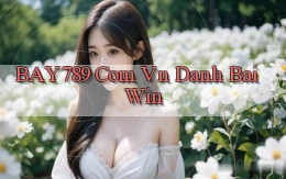bay789 com vn danh bai win