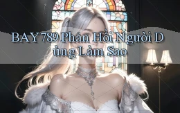 bay789 phản hồi người dùng làm sao