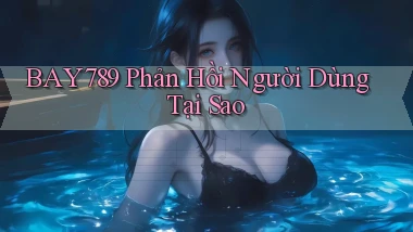 bay789 phản hồi người dùng tại sao