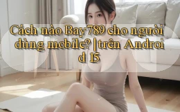Cách nào Bay789 cho người dùng mobile trên Android 15