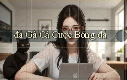 đá gà Cá cược bóng đá