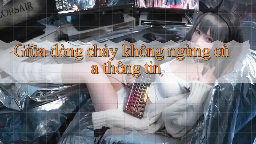 Giữa dòng chảy không ngừng của thông tin