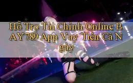 hỗ trợ tài chính online bay789 app vay tiền cả ngày