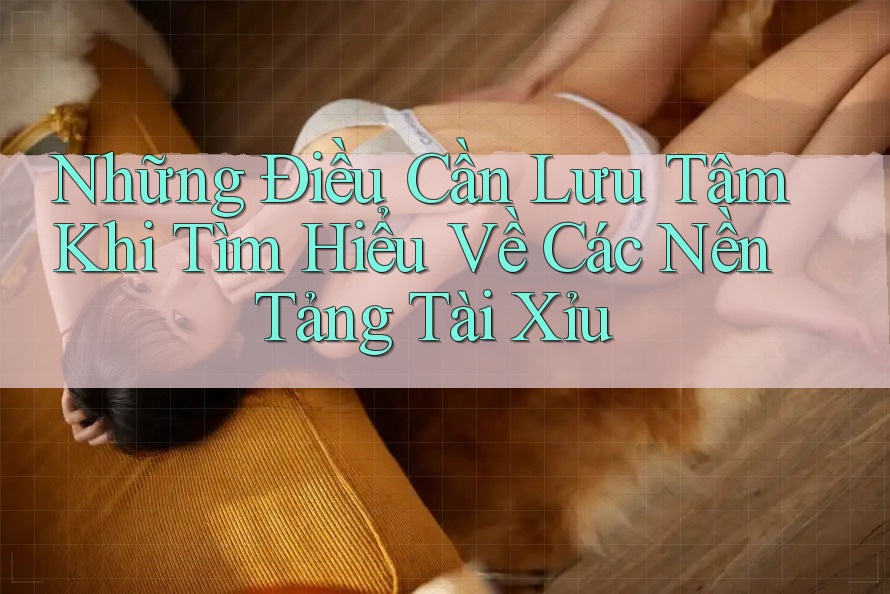 Những Điều Cần Lưu Tâm Khi Tìm Hiểu Về Các Nền Tảng Tài Xỉu