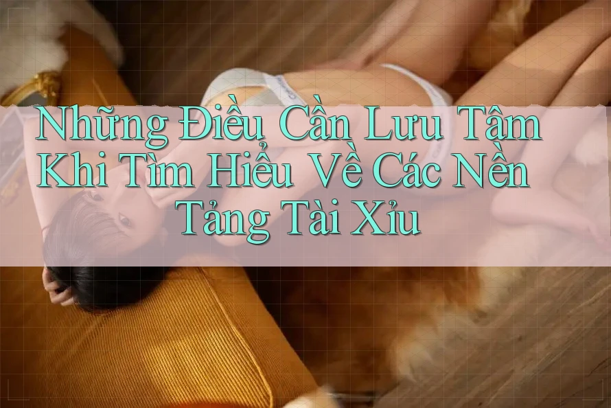Những Điều Cần Lưu Tâm Khi Tìm Hiểu Về Các Nền Tảng Tài Xỉu