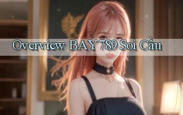 overview bay789 soi cầu