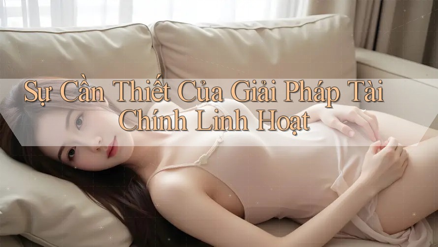 Sự Cần Thiết Của Giải Pháp Tài Chính Linh Hoạt