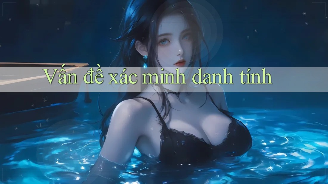 Vấn đề xác minh danh tính Vấn đề xác minh danh tính