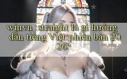winvn straight là gì hướng dẫn tiếng Việt phiên bản 2026